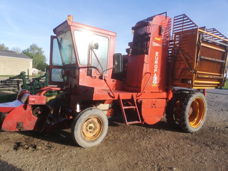 Rübenvollernter typu Barigelli Europa 2, Gebrauchtmaschine v Stetteldorf am Wagram (Obrázek 1)