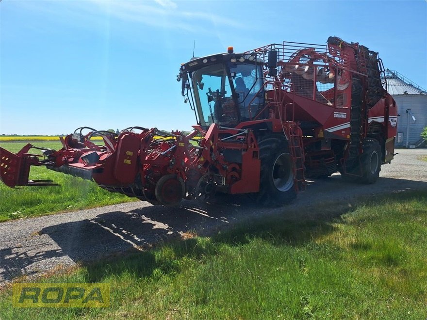 Rübenvollernter του τύπου Grimme Rexor 6200 Platinum, Gebrauchtmaschine σε Herrngiersdorf (Φωτογραφία 4)