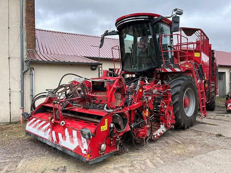 Rübenvollernter typu Holmer Holmer Terra Dos 5-30 - 2024, Gebrauchtmaschine v Schierling/Eggmühl (Obrázek 1)