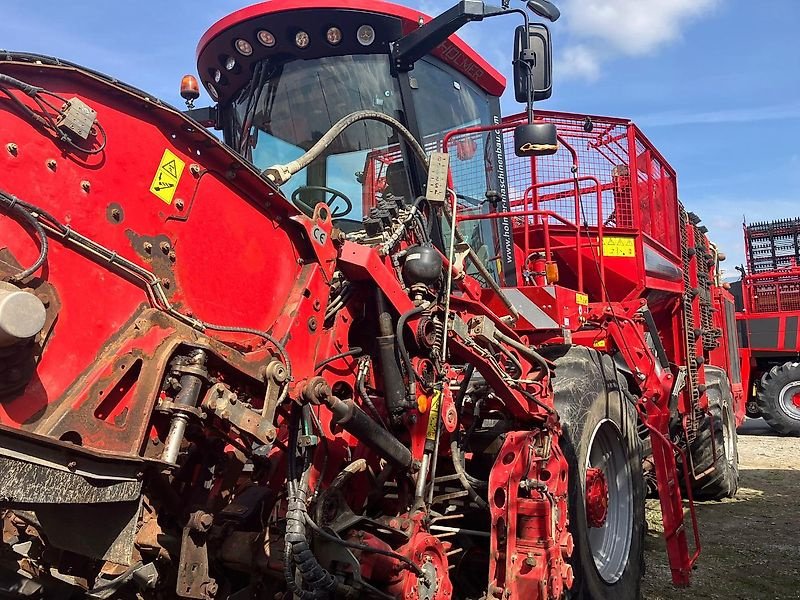 Rübenvollernter a típus Holmer T4-30 - 2017, Gebrauchtmaschine ekkor: Schierling/Eggmühl (Kép 1)