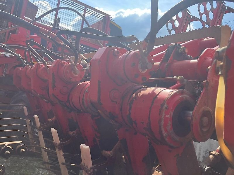 Rübenvollernter a típus Holmer T4-30 - 2017, Gebrauchtmaschine ekkor: Schierling/Eggmühl (Kép 3)