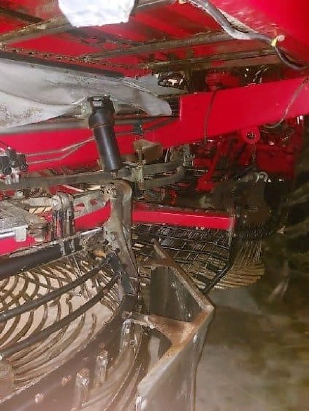 Rübenvollernter of the type Holmer T4-40 - 2018, Gebrauchtmaschine in Schierling/Eggmühl (Picture 5)