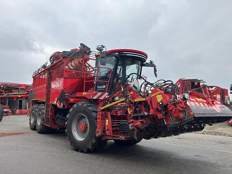 Rübenvollernter del tipo Holmer TD5-40 - 2024, Gebrauchtmaschine In Schierling/Eggmühl (Immagine 1)