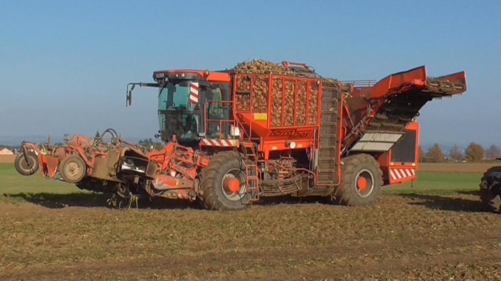 Rübenvollernter del tipo Holmer Terra Dos T2, Neumaschine In Хмельницький (Immagine 1)