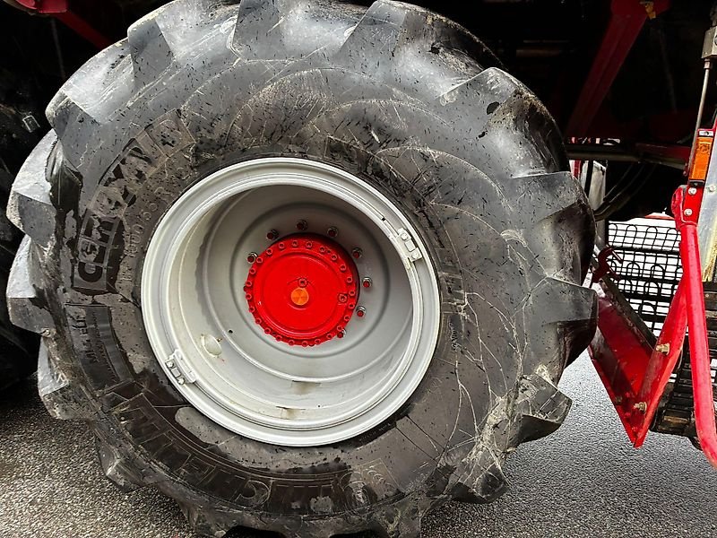 Rübenvollernter tip Holmer Terra Dos TD5-40 HD 2025, Vorführmaschine in Schierling/Eggmühl (Poză 8)