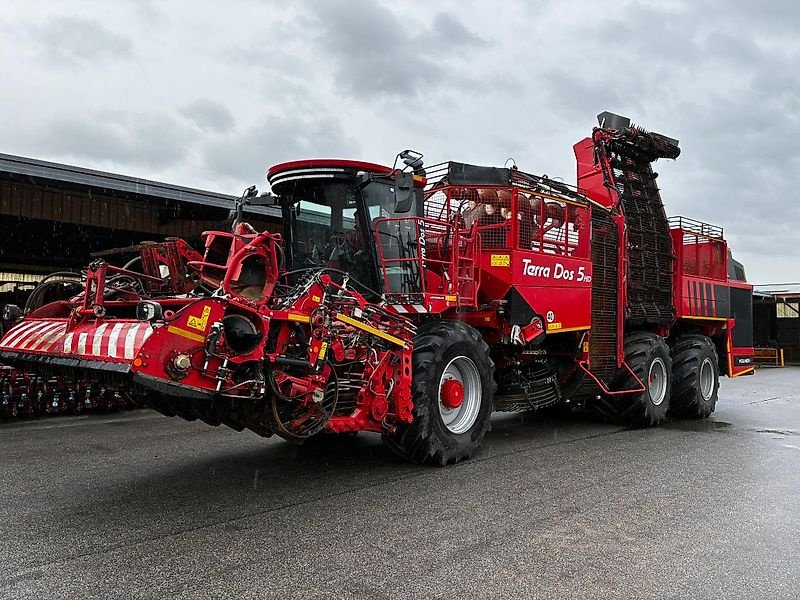 Rübenvollernter tip Holmer Terra Dos TD5-40 HD 2025, Vorführmaschine in Schierling/Eggmühl