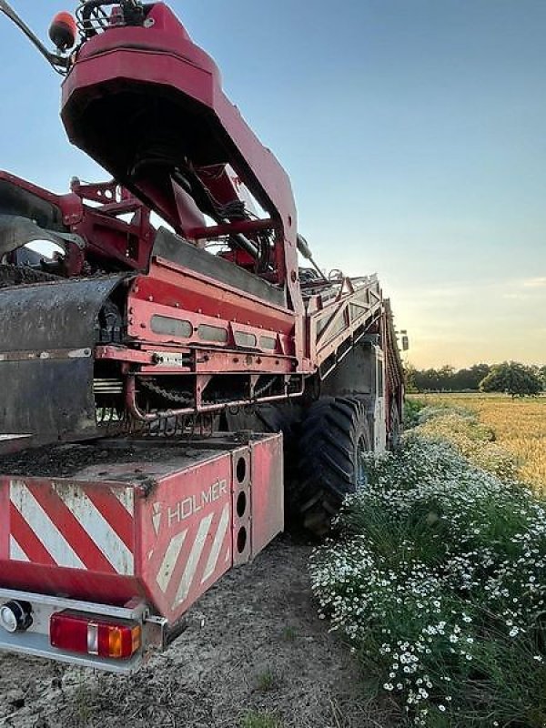 Rübenvollernter van het type Holmer Terra Felis 2 - 2012, Gebrauchtmaschine in Schierling/Eggmühl (Foto 3)