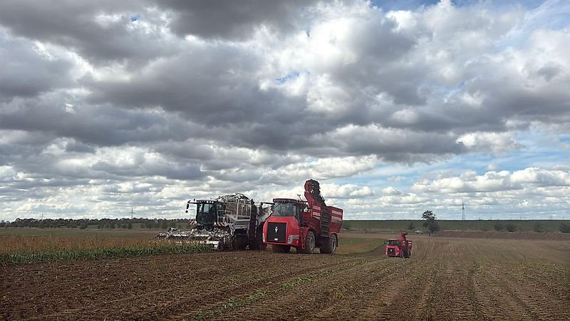 Rübenvollernter des Typs Holmer TV 600 2008, Gebrauchtmaschine in Schierling/Eggmühl (Bild 2)
