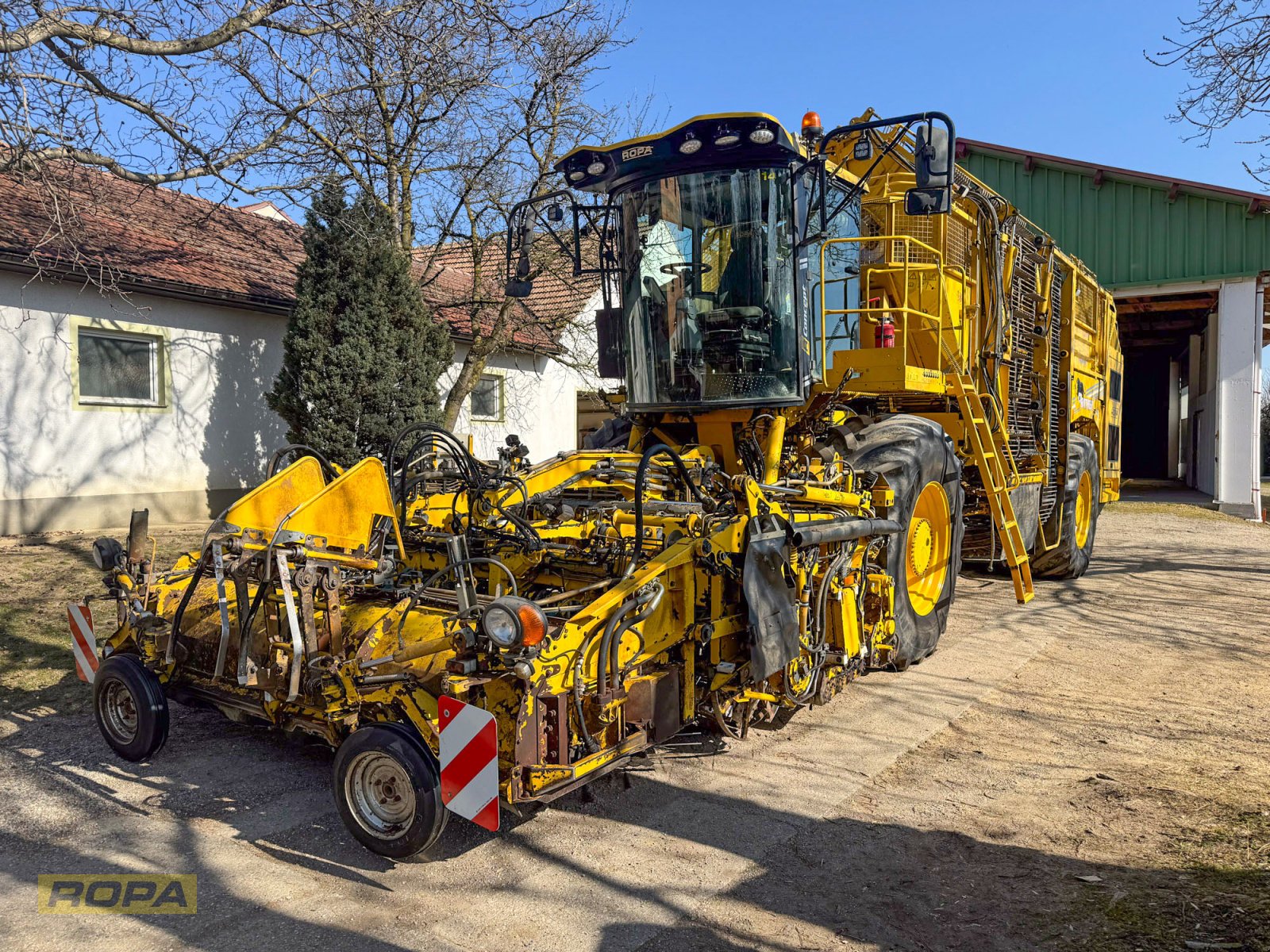 Rübenvollernter del tipo ROPA Panther 1, Gebrauchtmaschine In Herrngiersdorf (Immagine 1)