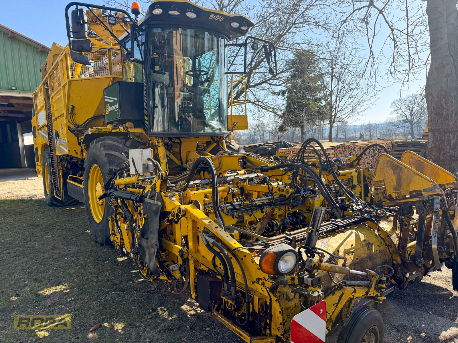 Rübenvollernter del tipo ROPA Panther 1, Gebrauchtmaschine In Herrngiersdorf (Immagine 2)