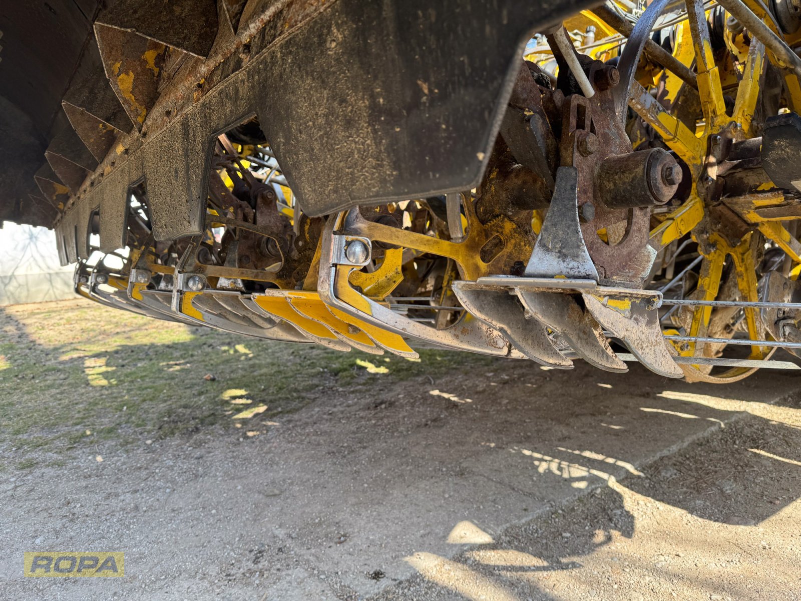 Rübenvollernter del tipo ROPA Panther 1, Gebrauchtmaschine In Herrngiersdorf (Immagine 8)