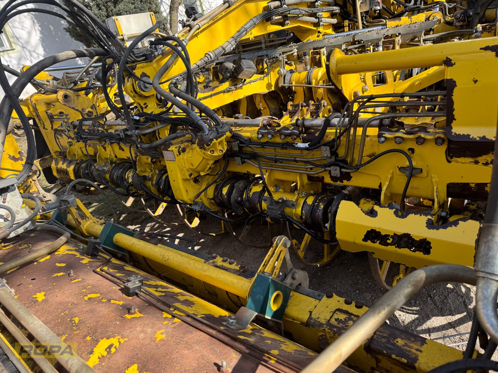 Rübenvollernter del tipo ROPA Panther 1, Gebrauchtmaschine In Herrngiersdorf (Immagine 9)