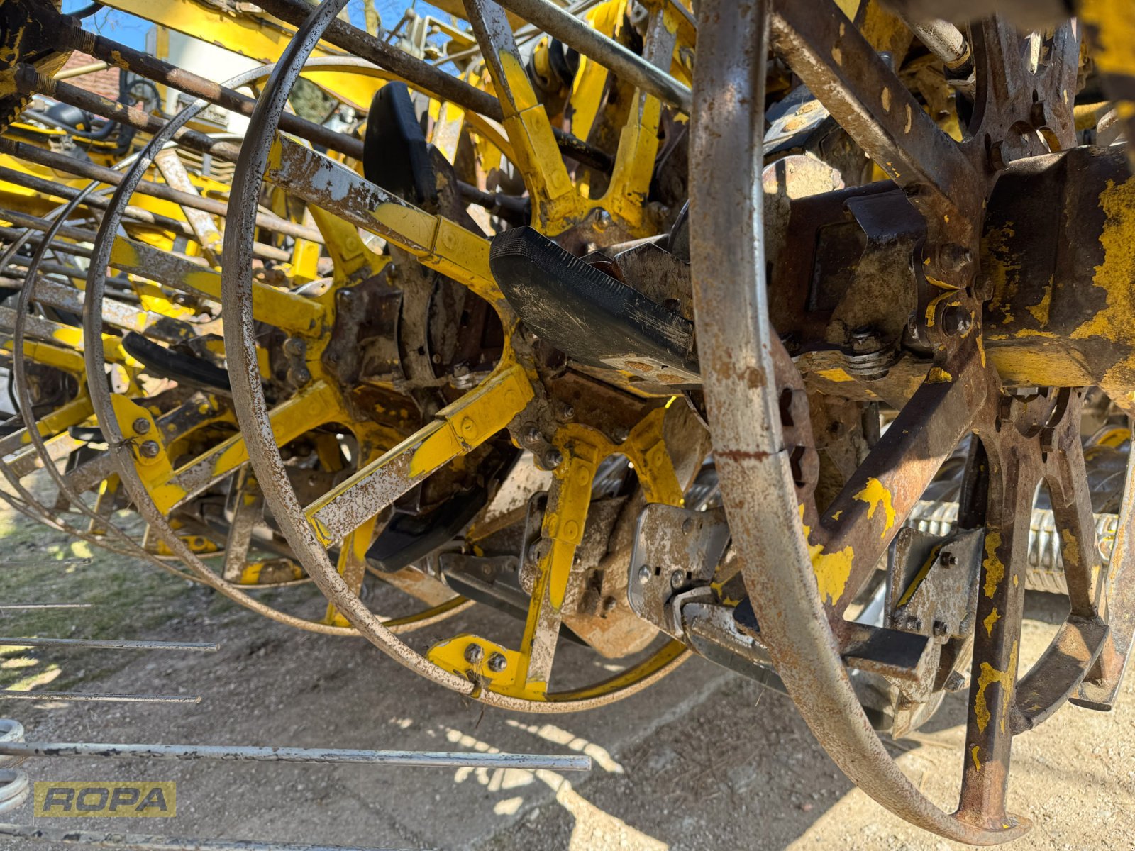 Rübenvollernter del tipo ROPA Panther 1, Gebrauchtmaschine In Herrngiersdorf (Immagine 10)