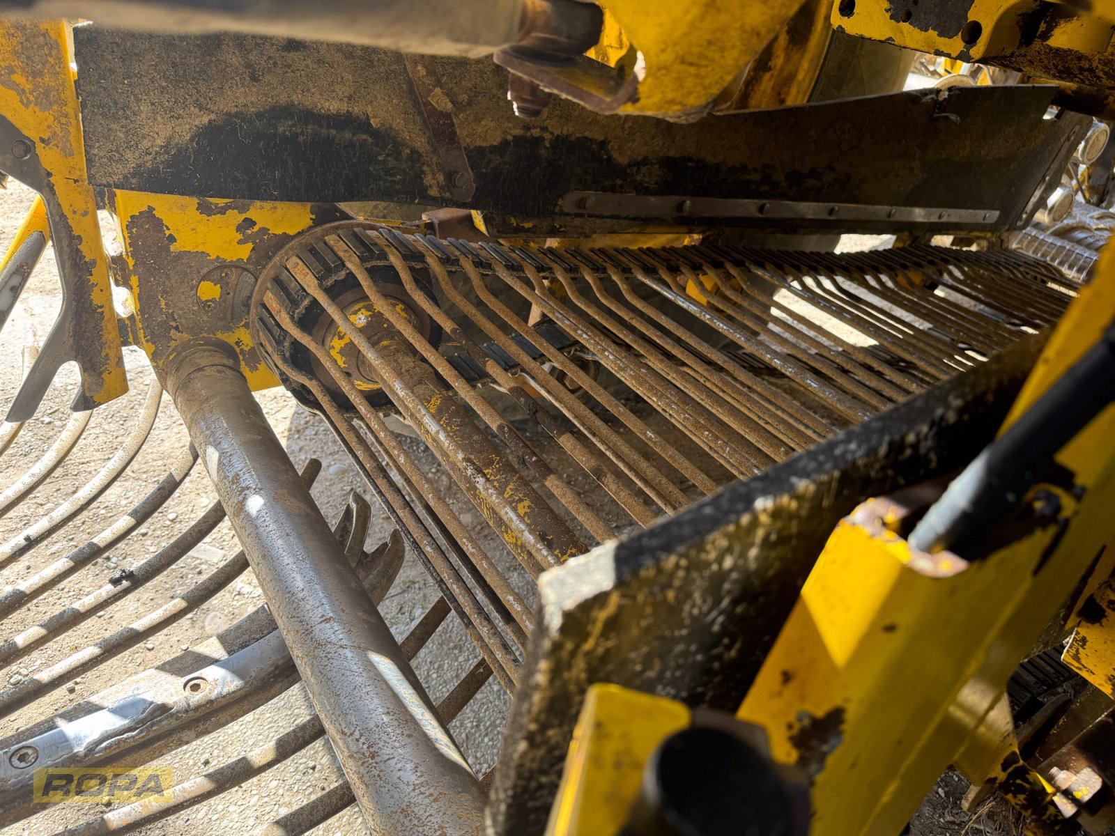 Rübenvollernter del tipo ROPA Panther 1, Gebrauchtmaschine In Herrngiersdorf (Immagine 19)