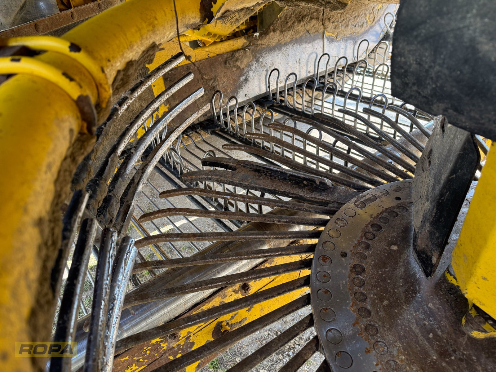 Rübenvollernter del tipo ROPA Panther 1, Gebrauchtmaschine In Herrngiersdorf (Immagine 20)