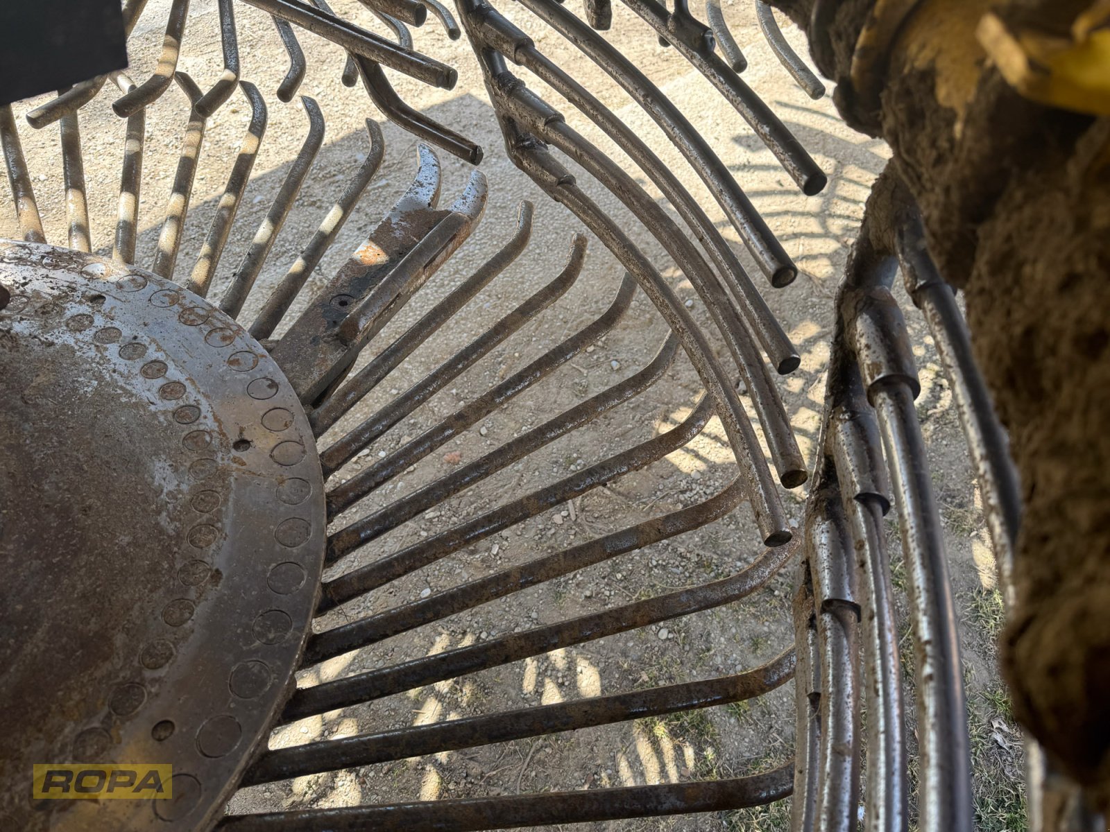 Rübenvollernter del tipo ROPA Panther 1, Gebrauchtmaschine In Herrngiersdorf (Immagine 21)