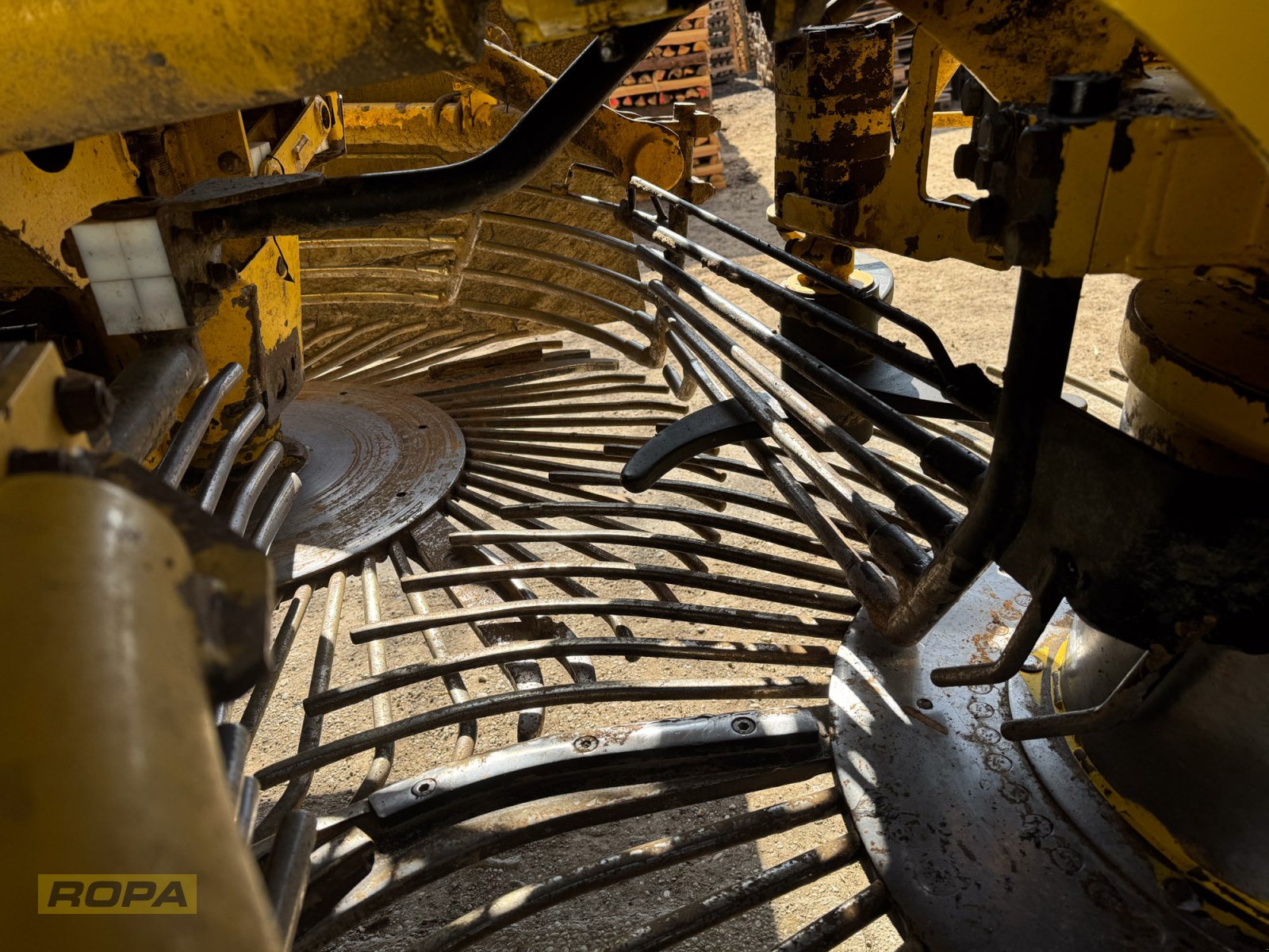 Rübenvollernter del tipo ROPA Panther 1, Gebrauchtmaschine In Herrngiersdorf (Immagine 22)