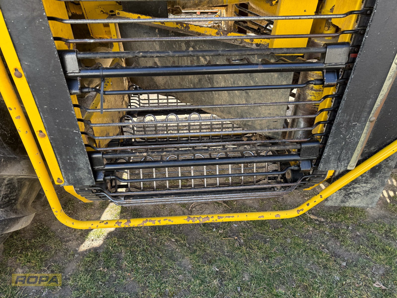 Rübenvollernter del tipo ROPA Panther 1, Gebrauchtmaschine In Herrngiersdorf (Immagine 25)