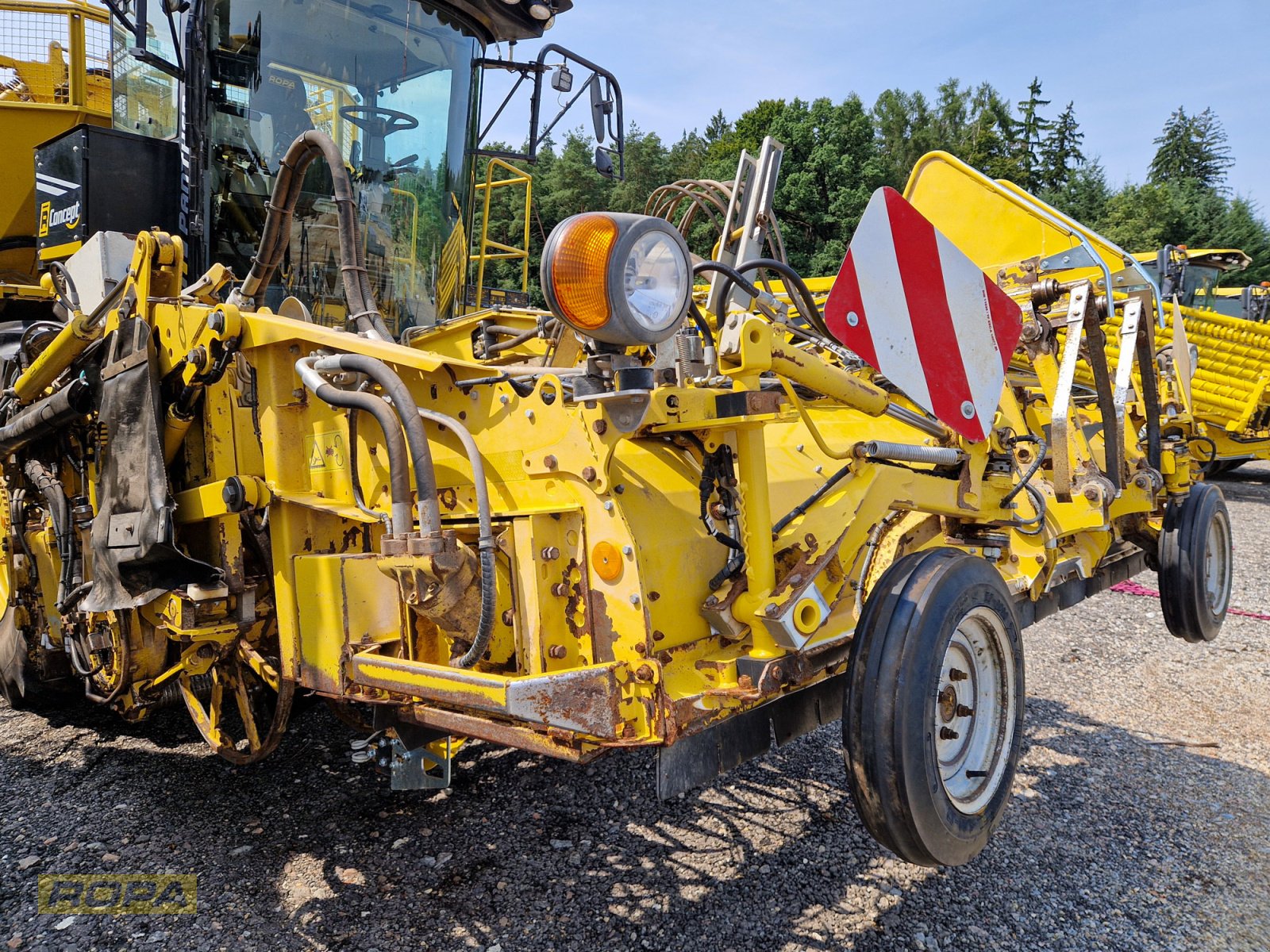 Rübenvollernter del tipo ROPA Panther 1, Gebrauchtmaschine In Herrngiersdorf (Immagine 11)