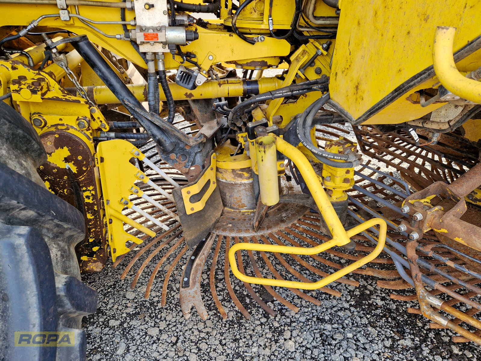 Rübenvollernter del tipo ROPA Panther 1, Gebrauchtmaschine In Herrngiersdorf (Immagine 21)
