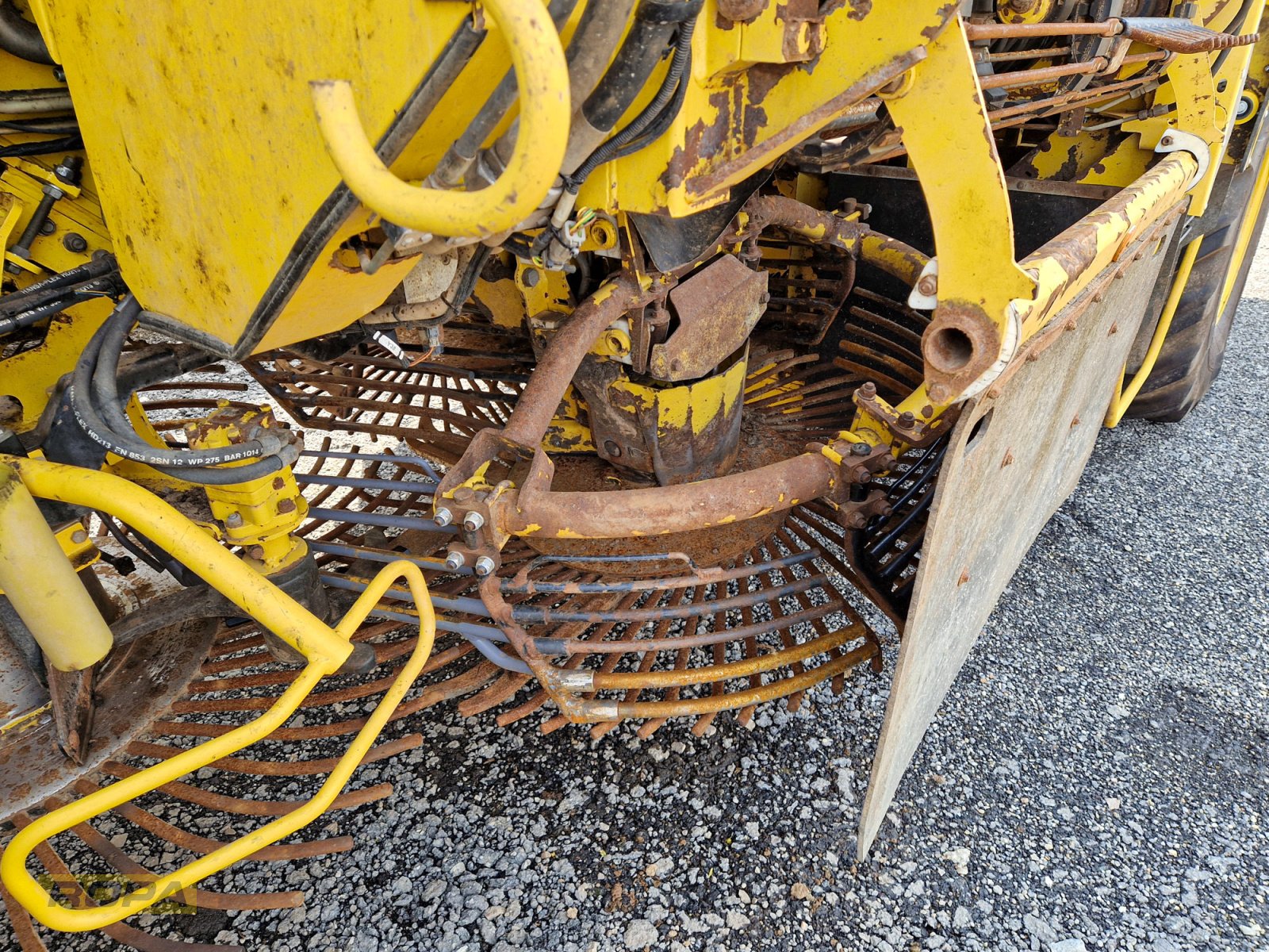 Rübenvollernter del tipo ROPA Panther 1, Gebrauchtmaschine In Herrngiersdorf (Immagine 22)