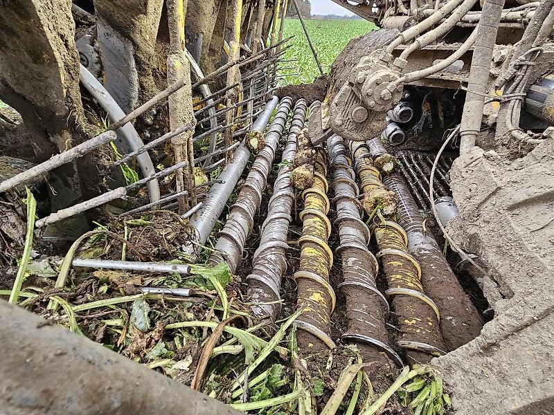 Rübenvollernter des Typs ROPA Ropa Tiger 6s 2024, Gebrauchtmaschine in Schierling/Eggmühl (Bild 3)