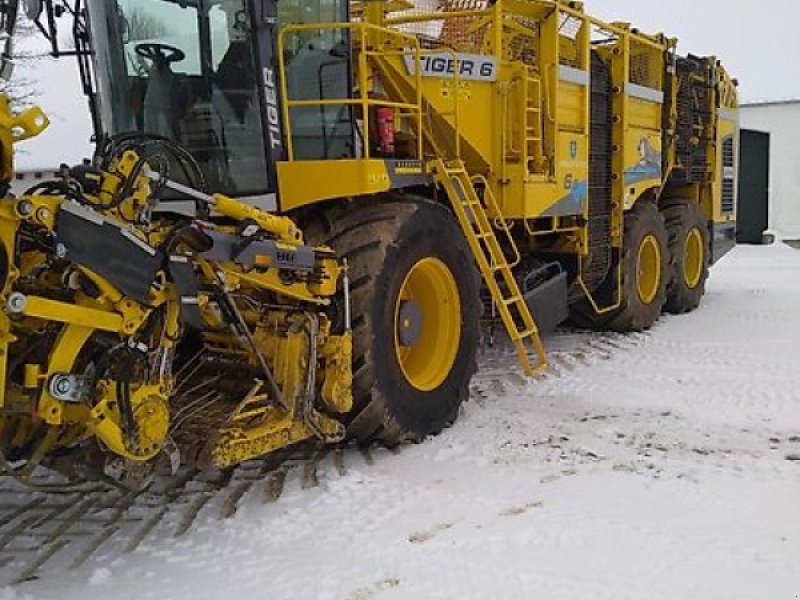 Rübenvollernter del tipo ROPA Ropa Tiger 6s 2024, Gebrauchtmaschine In Schierling/Eggmühl