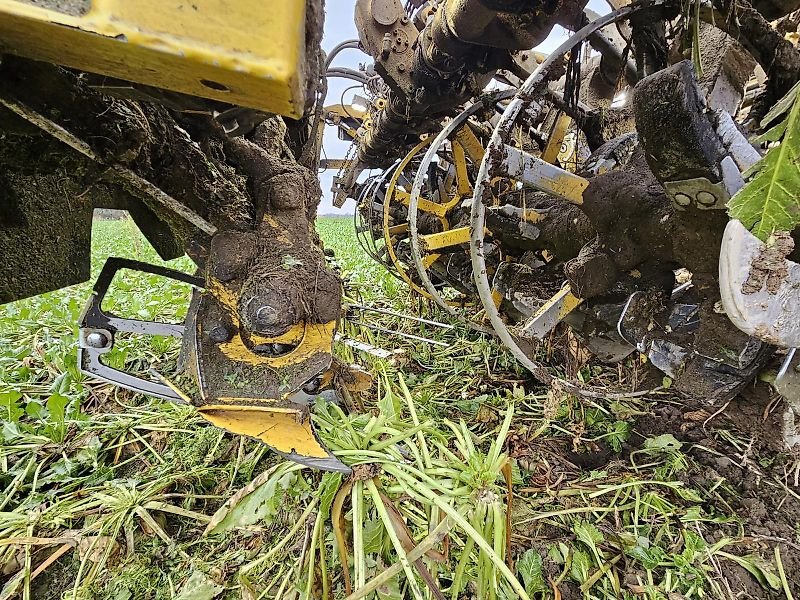 Rübenvollernter des Typs ROPA Ropa Tiger 6s 2024, Gebrauchtmaschine in Schierling/Eggmühl (Bild 4)