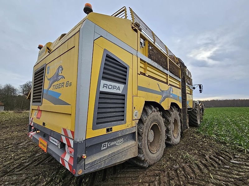 Rübenvollernter des Typs ROPA Ropa Tiger 6s 2024, Gebrauchtmaschine in Schierling/Eggmühl (Bild 6)