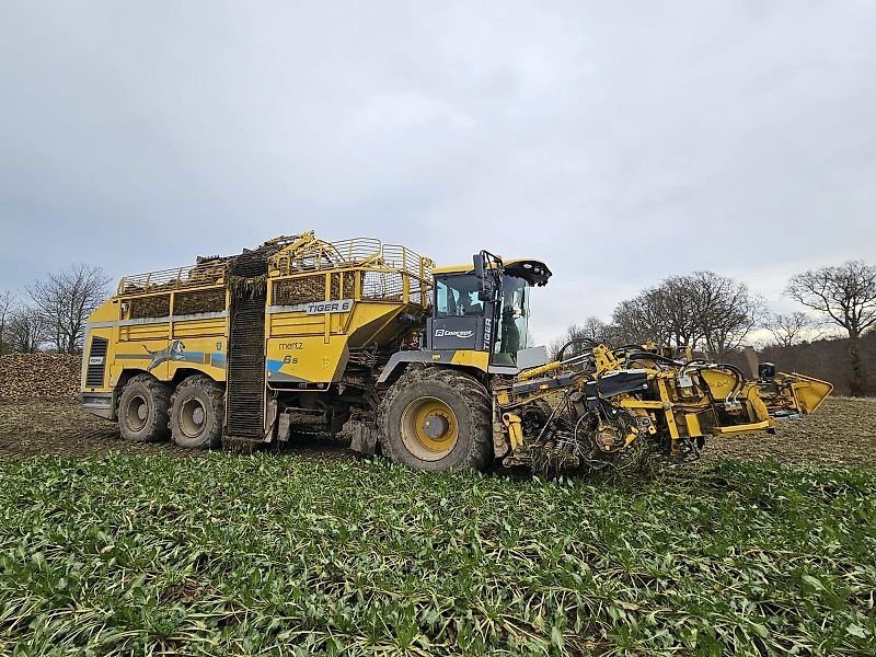 Rübenvollernter des Typs ROPA Ropa Tiger 6s 2024, Gebrauchtmaschine in Schierling/Eggmühl (Bild 1)