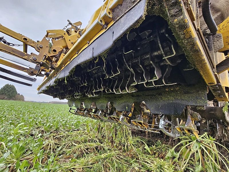 Rübenvollernter des Typs ROPA Ropa Tiger 6s 2024, Gebrauchtmaschine in Schierling/Eggmühl (Bild 2)