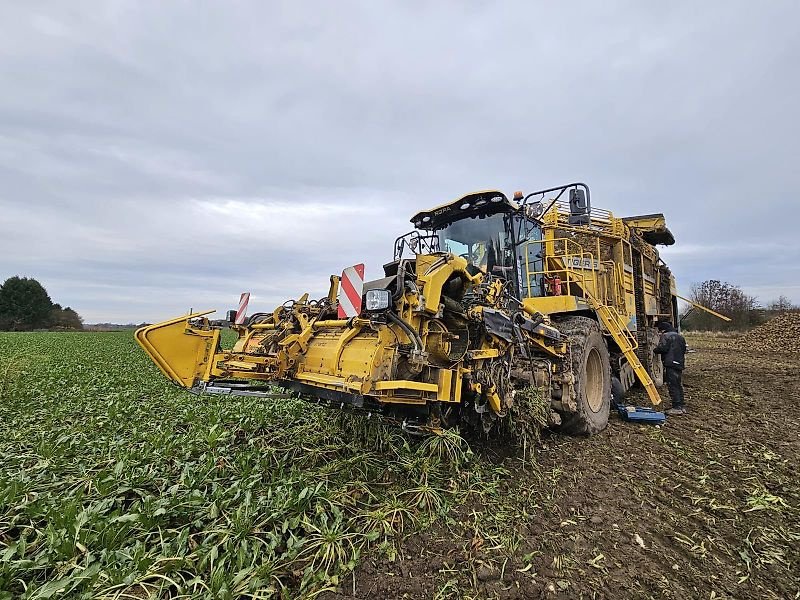 Rübenvollernter des Typs ROPA Ropa Tiger 6s 2024, Gebrauchtmaschine in Schierling/Eggmühl (Bild 5)