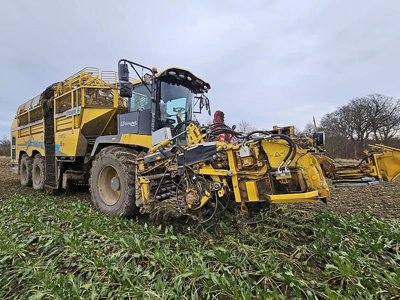 Rübenvollernter des Typs ROPA Ropa Tiger 6s 2024, Gebrauchtmaschine in Schierling/Eggmühl (Bild 7)