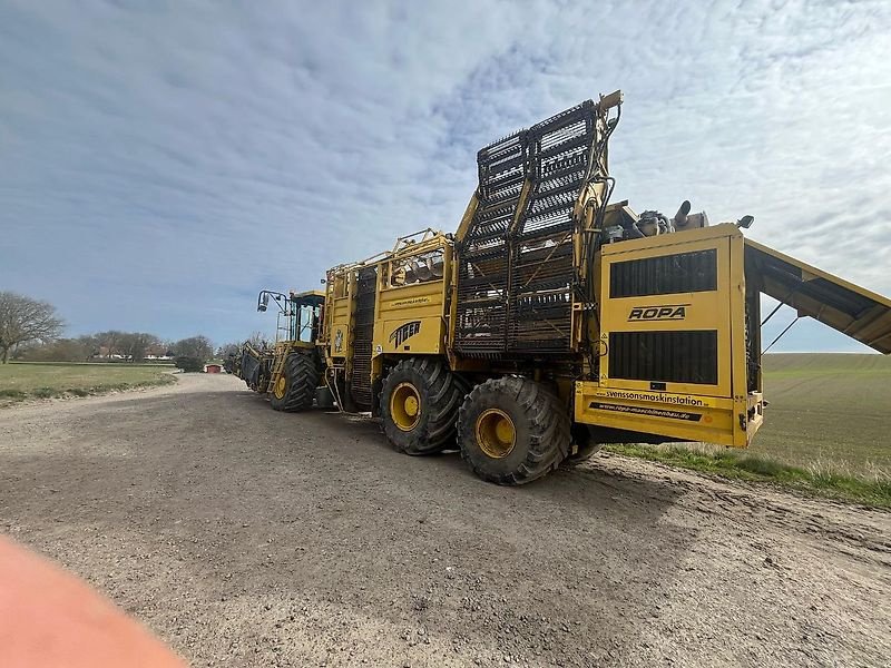 Rübenvollernter typu ROPA Tiger 3 - 2009, Gebrauchtmaschine v Schierling/Eggmühl (Obrázek 12)