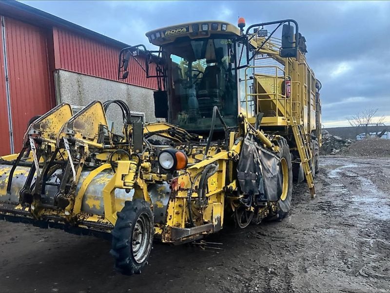 Rübenvollernter typu ROPA Tiger 3 - 2009, Gebrauchtmaschine v Schierling/Eggmühl (Obrázek 3)