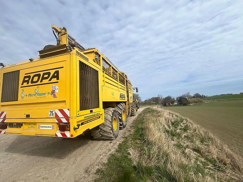 Rübenvollernter typu ROPA Tiger 3 - 2009, Gebrauchtmaschine v Schierling/Eggmühl (Obrázek 11)