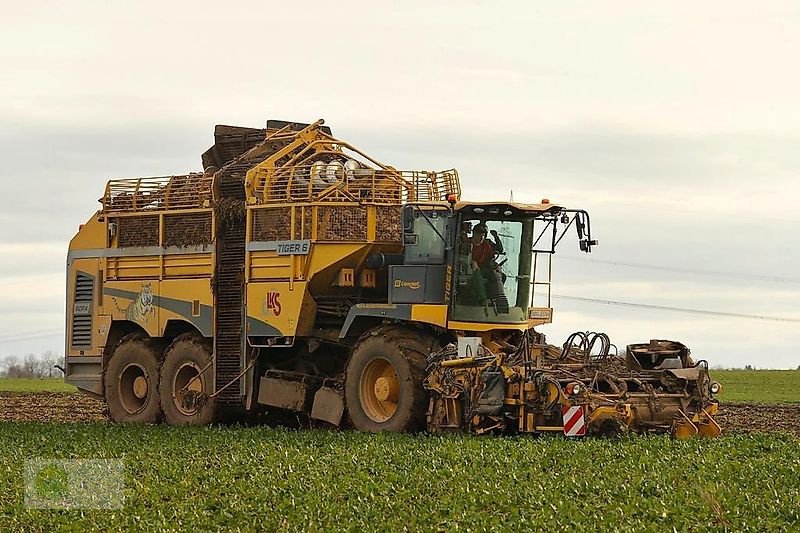 Rübenvollernter typu ROPA Tiger 6a, Gebrauchtmaschine v Salsitz (Obrázok 1)