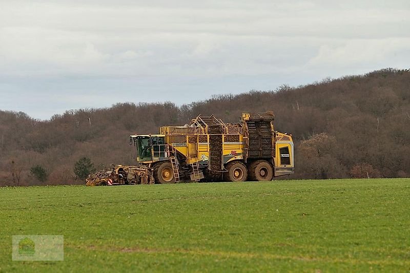 Rübenvollernter typu ROPA Tiger 6a, Gebrauchtmaschine v Salsitz (Obrázok 3)