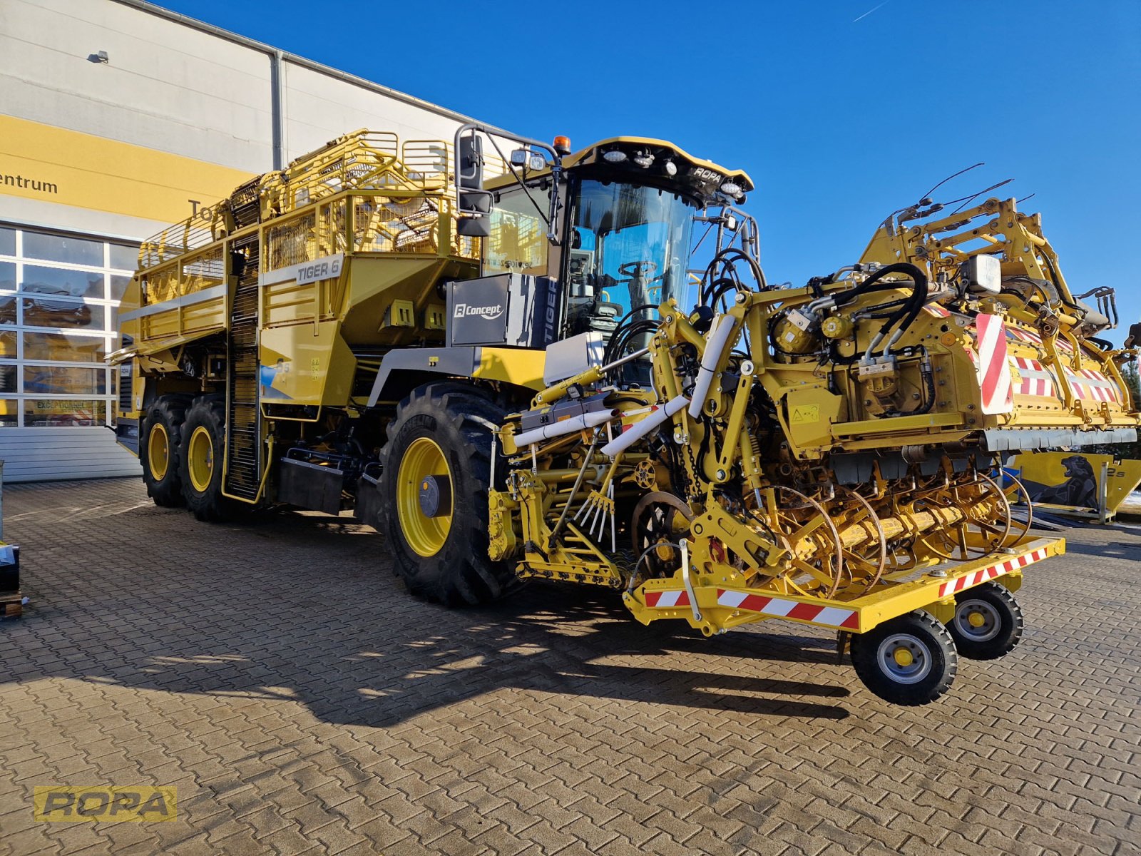 Rübenvollernter Türe ait ROPA Tiger 6S, Gebrauchtmaschine içinde Herrngiersdorf (resim 2)