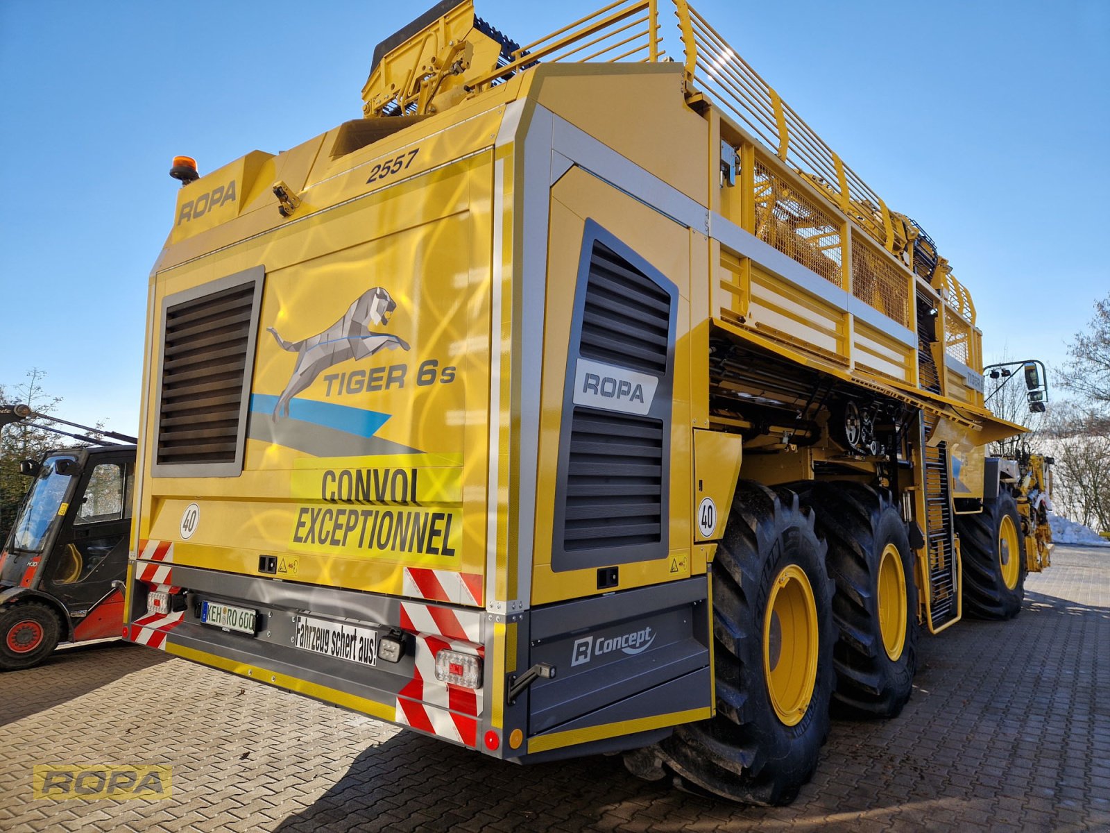 Rübenvollernter Türe ait ROPA Tiger 6S, Gebrauchtmaschine içinde Herrngiersdorf (resim 3)