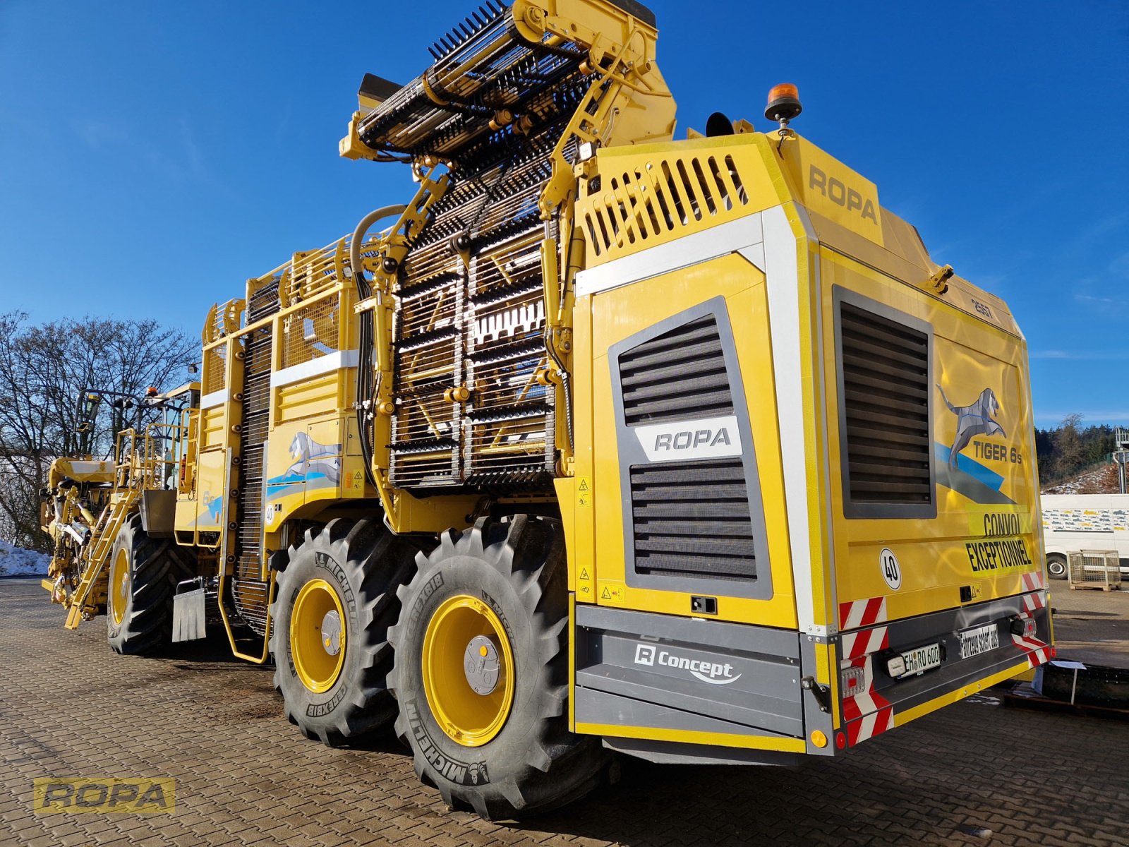 Rübenvollernter Türe ait ROPA Tiger 6S, Gebrauchtmaschine içinde Herrngiersdorf (resim 4)