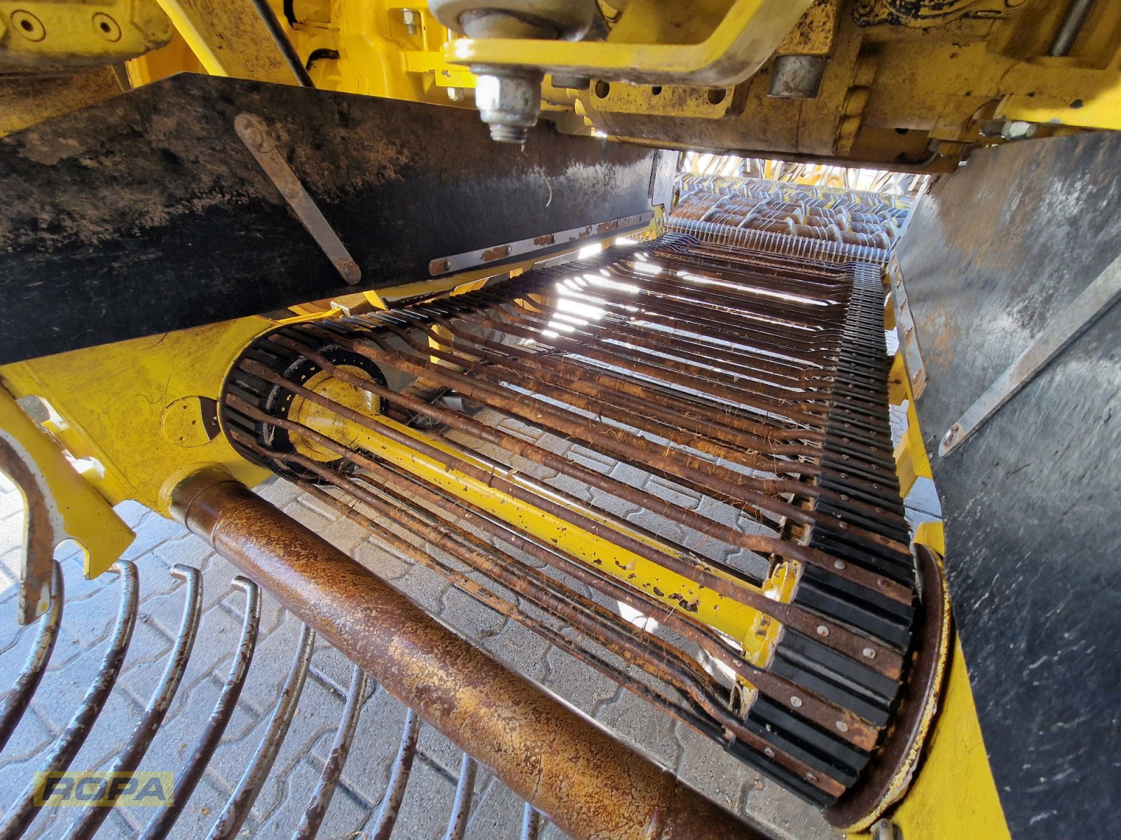 Rübenvollernter Türe ait ROPA Tiger 6S, Gebrauchtmaschine içinde Herrngiersdorf (resim 10)