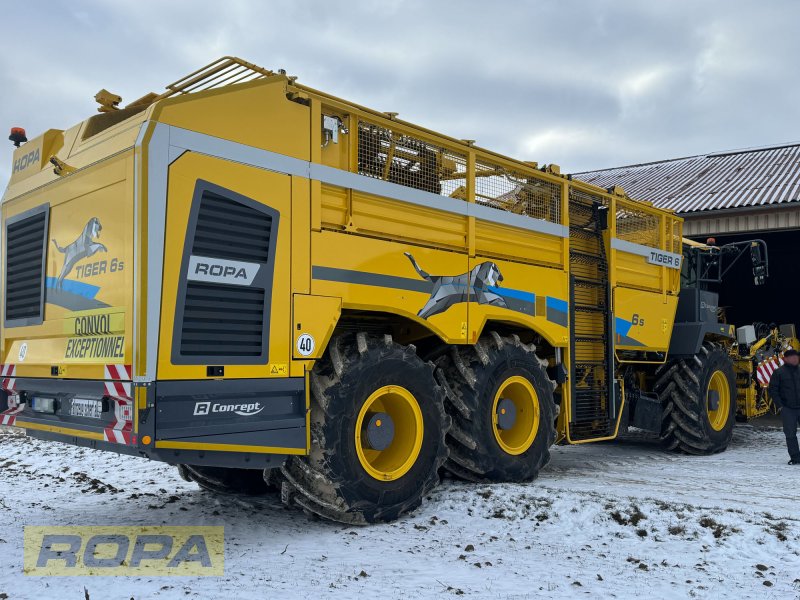 Rübenvollernter от тип ROPA Tiger 6S, Gebrauchtmaschine в Herrngiersdorf