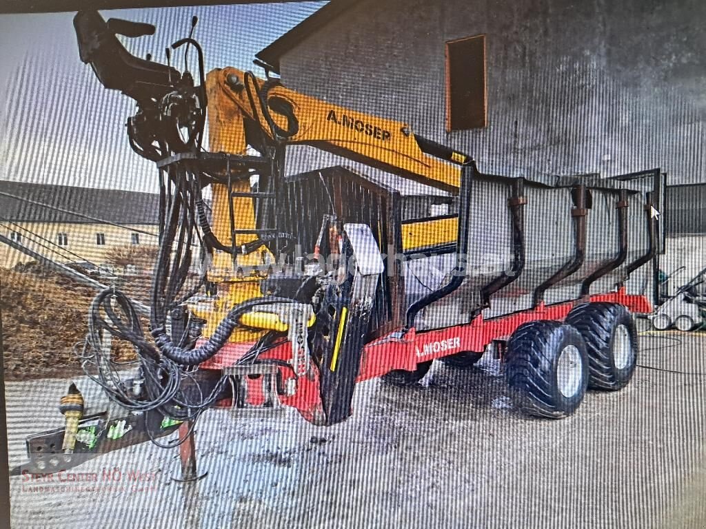 Rückewagen & Rückeanhänger Türe ait A. Moser 9,2M FORSTKRANWAGEN 13.TO, Gebrauchtmaschine içinde Purgstall (resim 7)