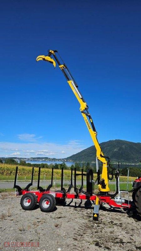 Rückewagen & Rückeanhänger a típus A. Moser MHL-11 Lenkachse mit MKL-8,7, Neumaschine ekkor: Altmünster (Kép 5)