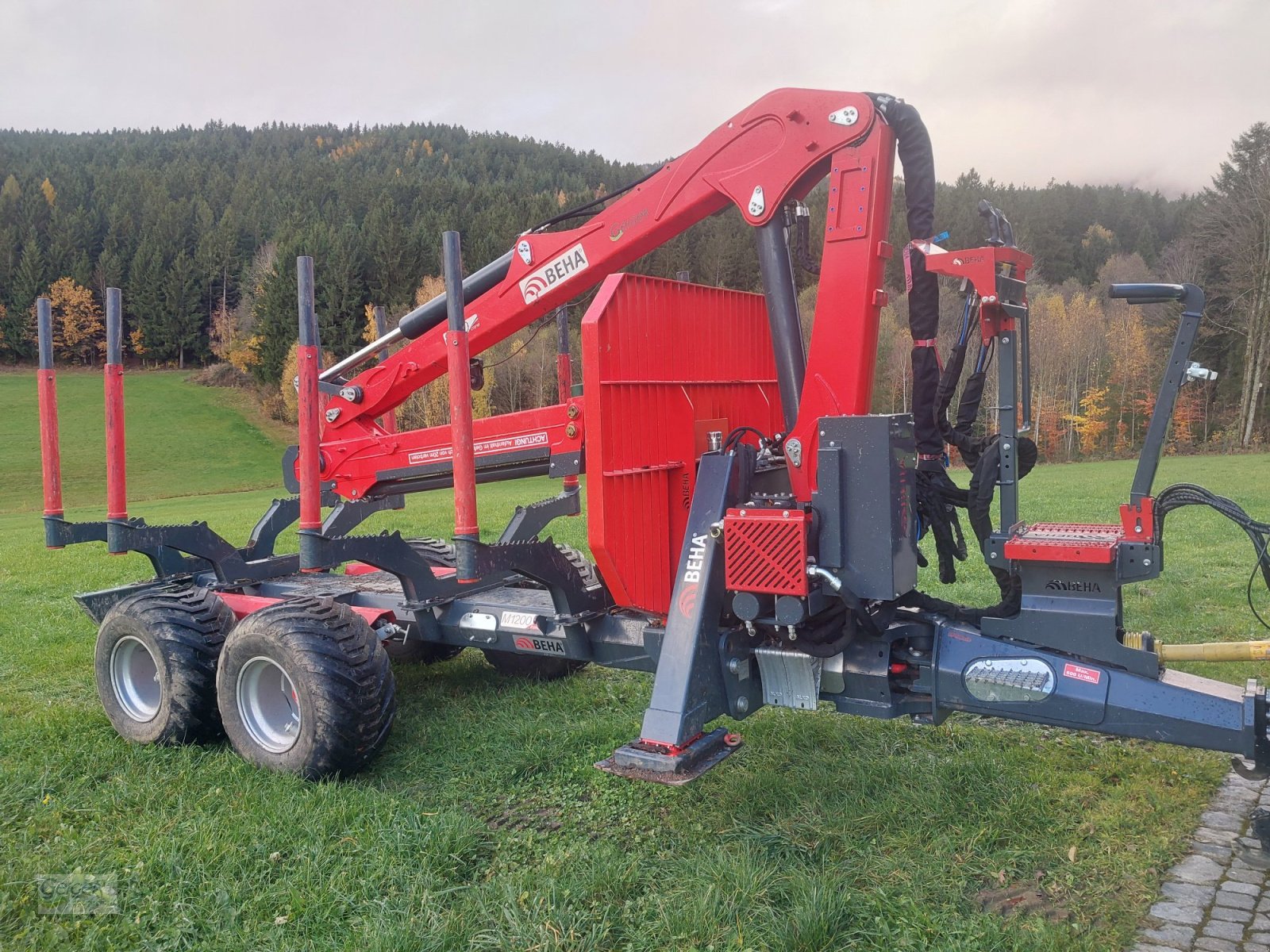 Rückewagen & Rückeanhänger a típus BEHA M 1200, Gebrauchtmaschine ekkor: Drachselsried (Kép 13)