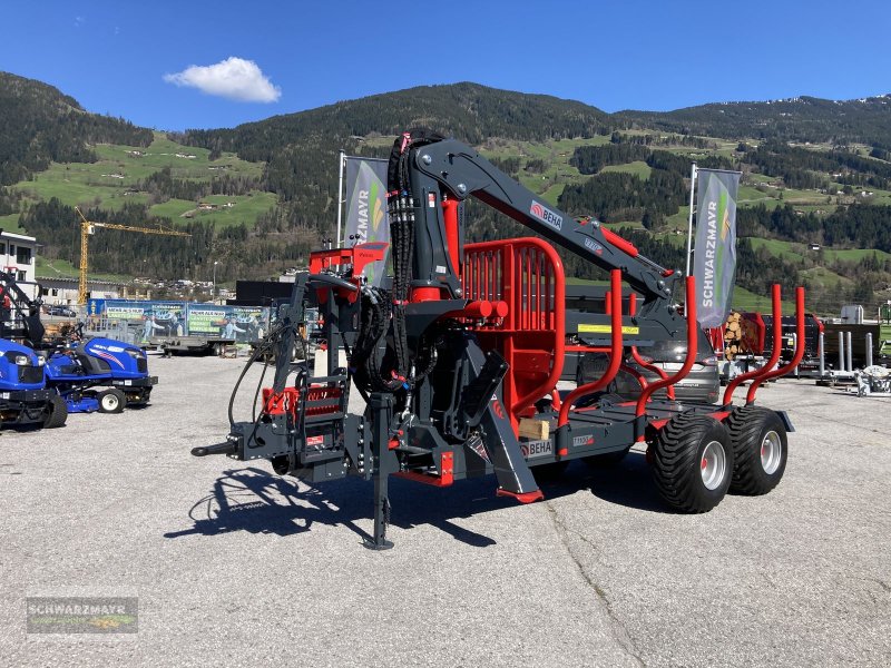 Rückewagen & Rückeanhänger Türe ait BEHA T1100/7770, Neumaschine içinde Aurolzmünster (resim 1)