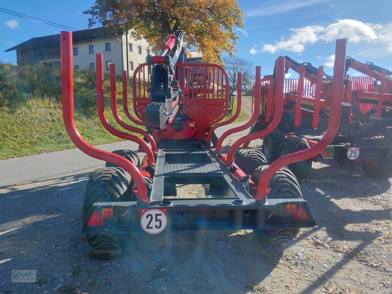 Rückewagen & Rückeanhänger a típus BEHA T810, Neumaschine ekkor: Drachselsried (Kép 7)