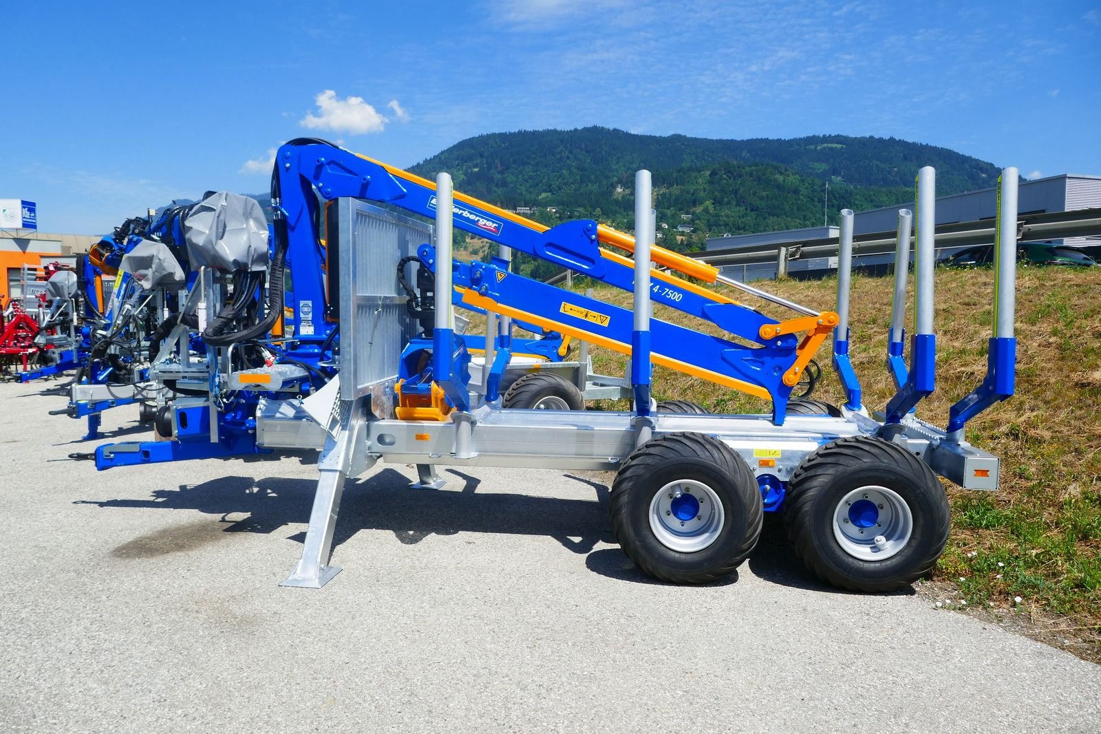 Rückewagen & Rückeanhänger of the type Binderberger RW 10 Alpin + BK 4 - 7500, Gebrauchtmaschine in Villach (Picture 2)