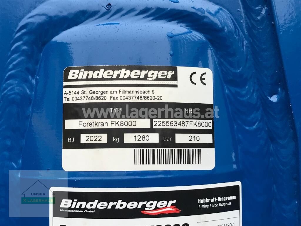 Rückewagen & Rückeanhänger a típus Binderberger RW 12 ALPIN BK 8000, Neumaschine ekkor: Wartberg (Kép 2)